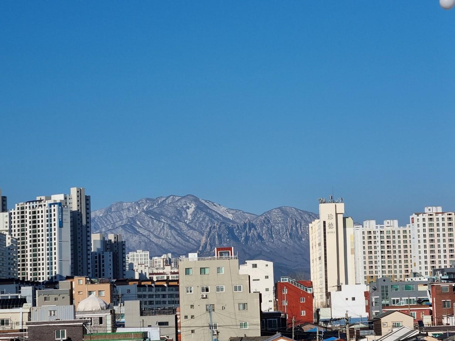 Cover Image for 속초비치호스텔