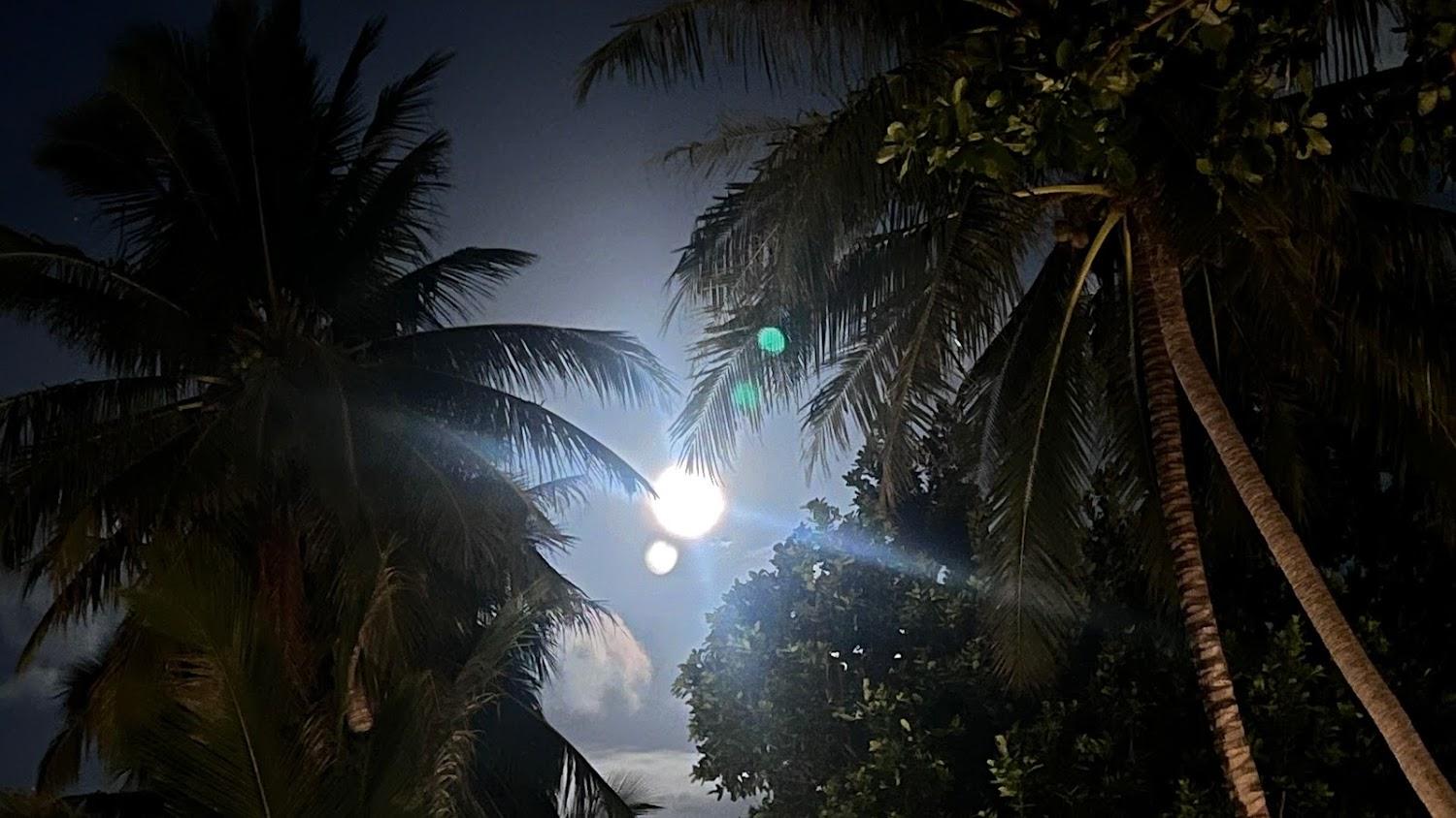Cover Image for Smile Bungalows
