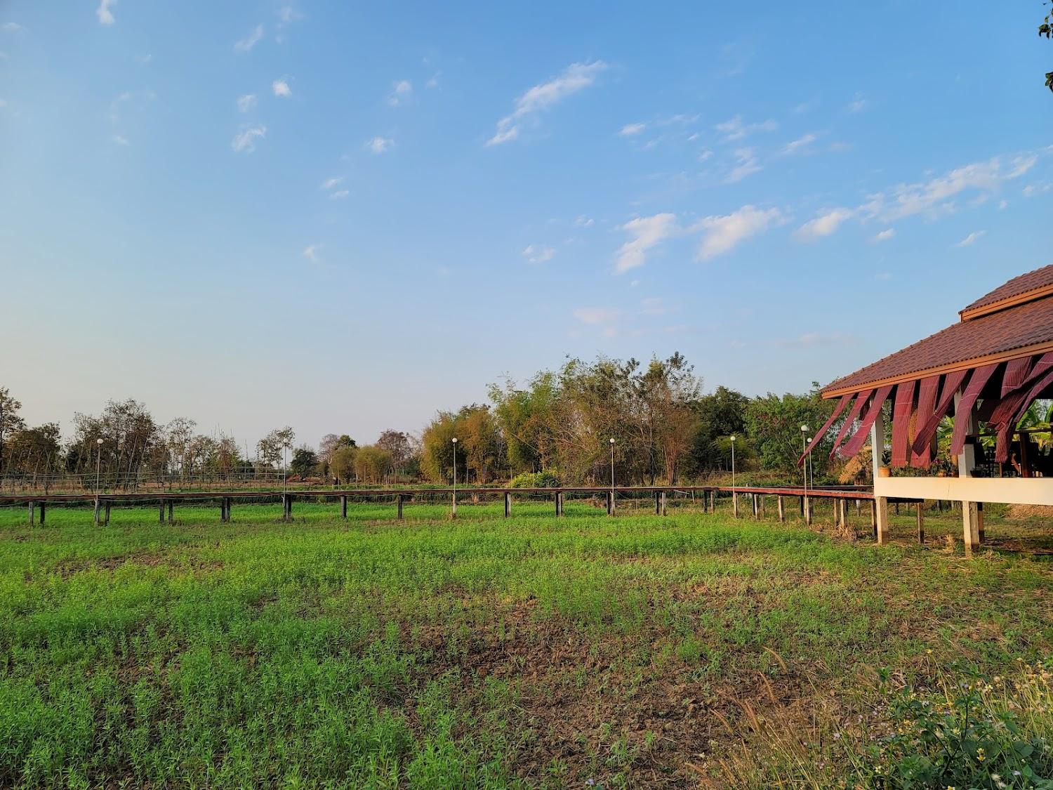 Cover Image for Suwan Organic Farmstay