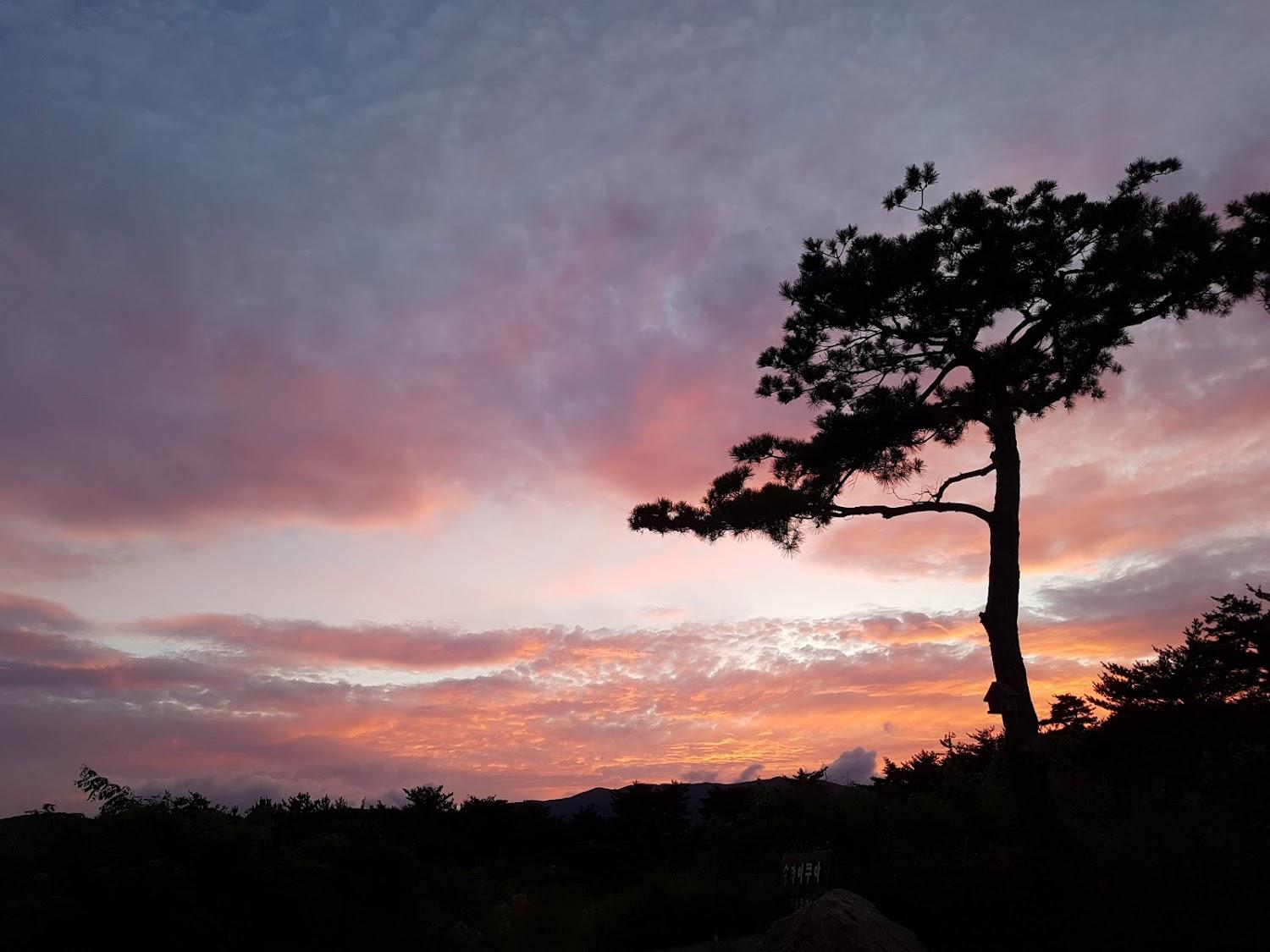 Cover Image for 송라아쿠아펜션
