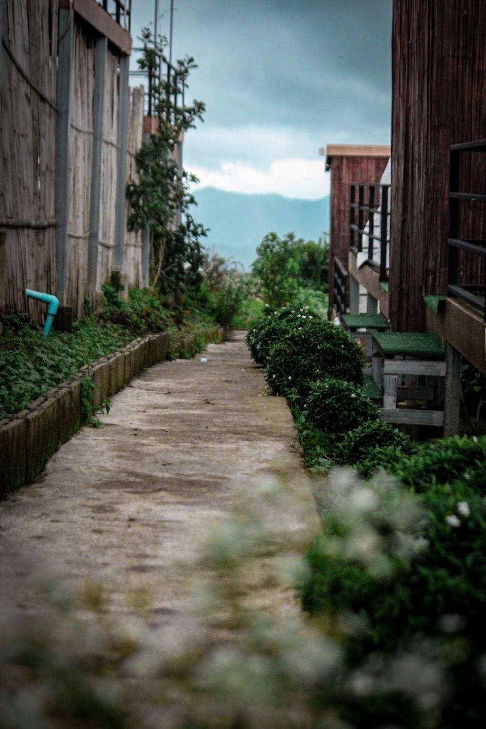 Cover Image for เขาเเสงจันทร์ ม่อนเเจ่ม