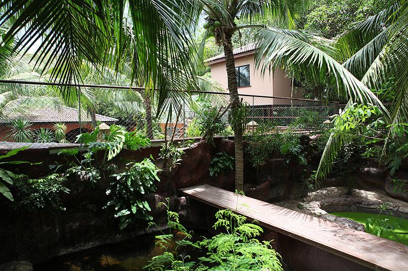 Cover Image for Adventure Resort Thailand