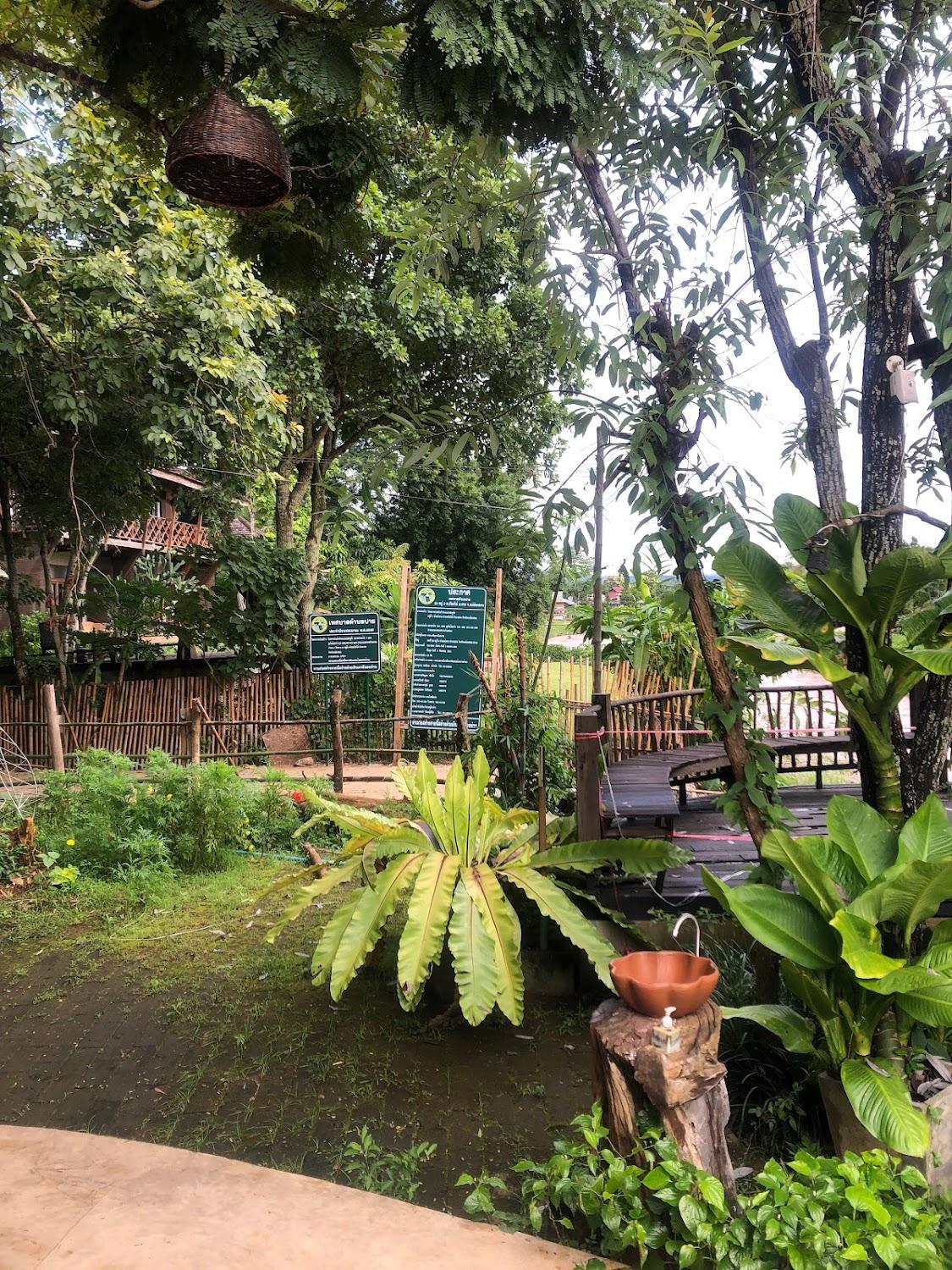 Cover Image for Pai River Corner