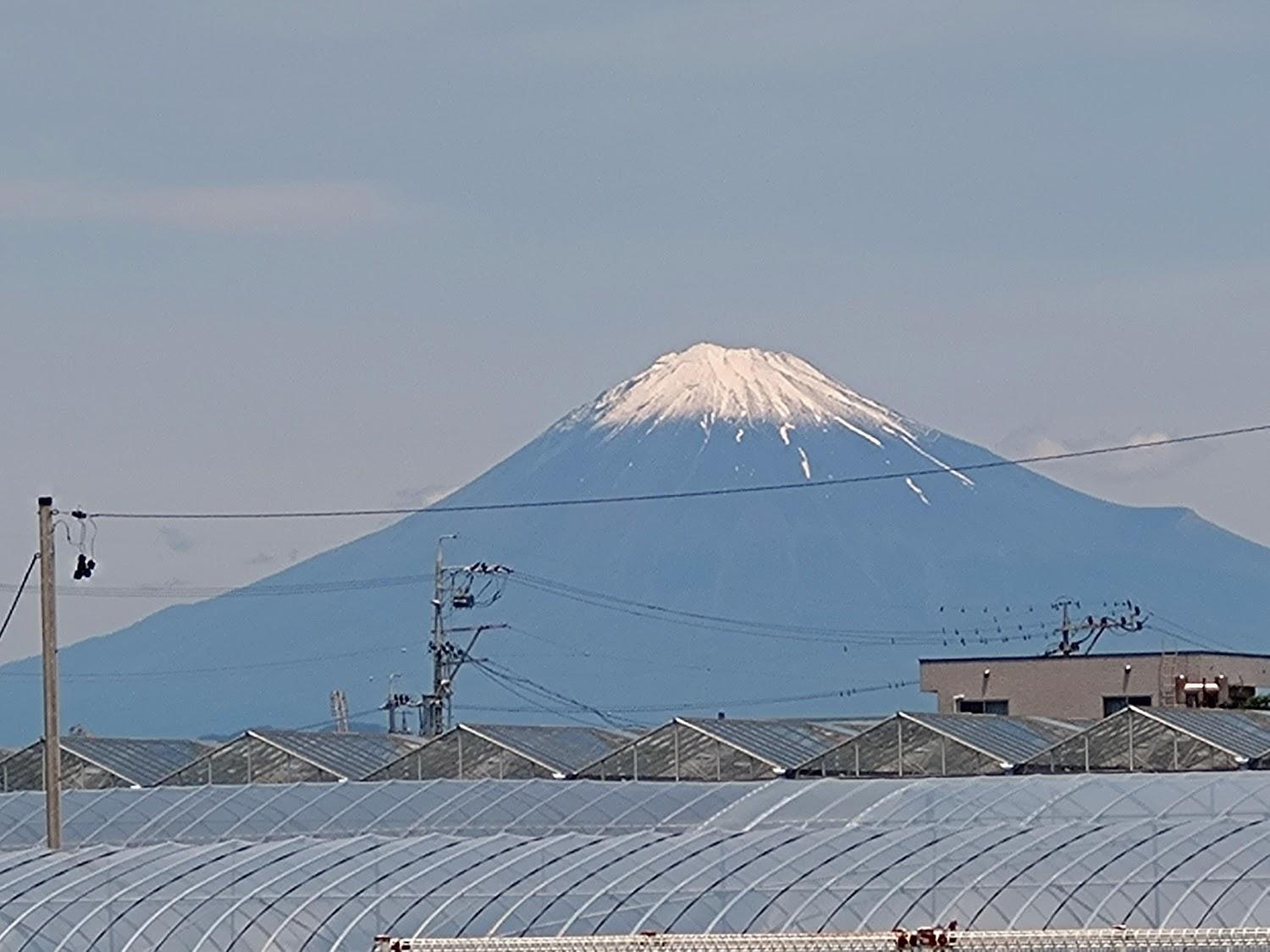Cover Image for 和風ビジネス旅館 福住
