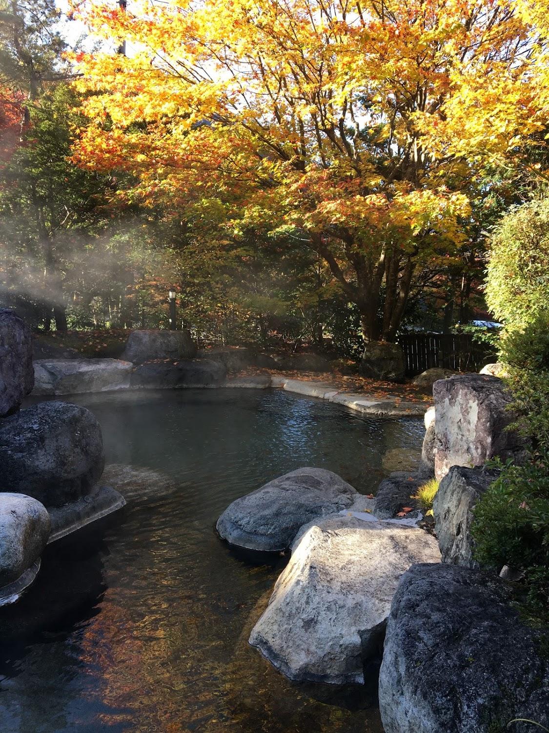 Cover Image for Nakashimakan
