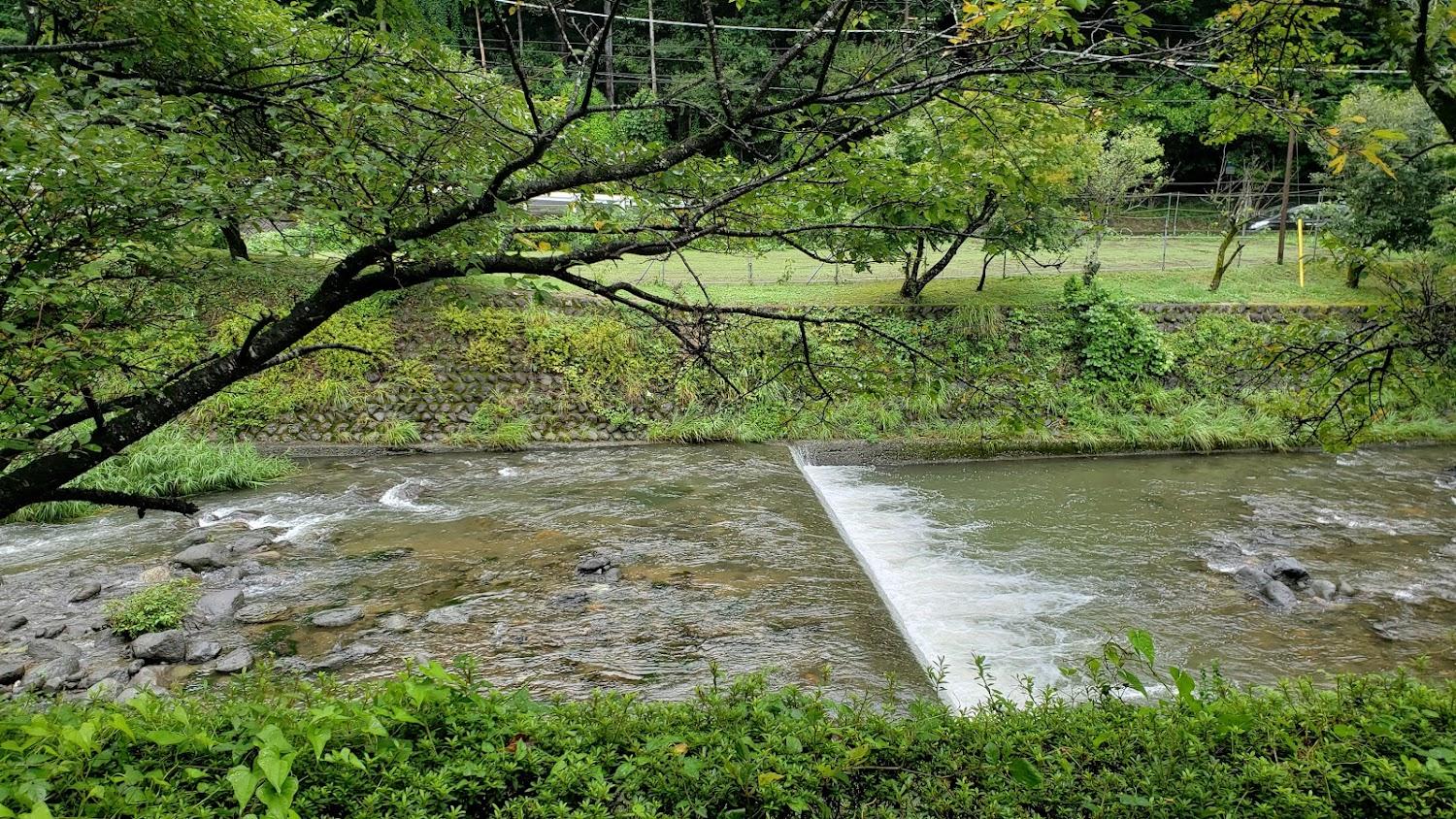 Cover Image for もちこし来楽歩