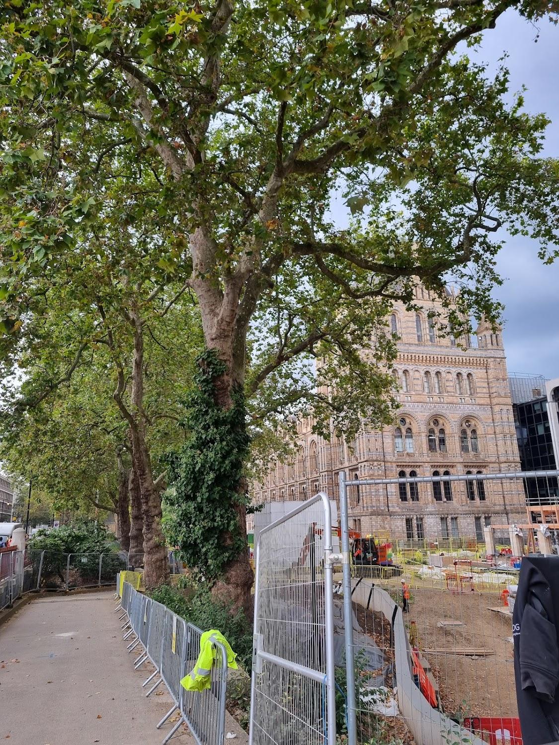 Cover Image for South Kensington