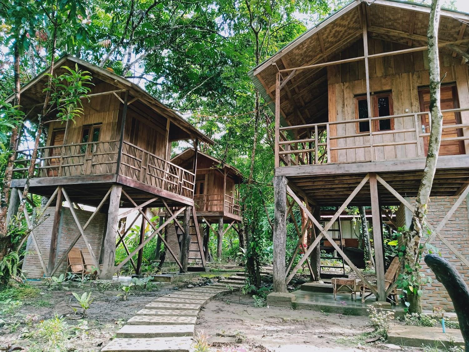 Cover Image for Bua guesthouse tangkahan