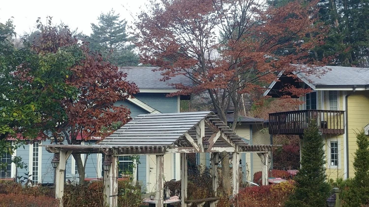 Cover Image for Pension Heide House
