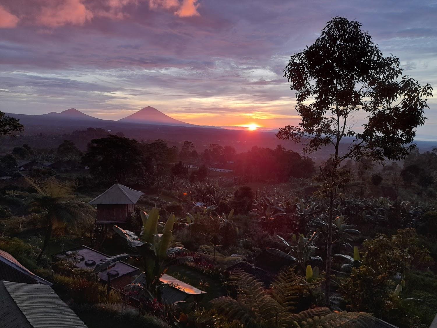 Cover Image for Bali Tree House Pelangi