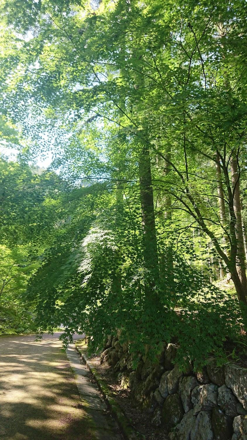 Cover Image for Jakuchikyo Camping Ground