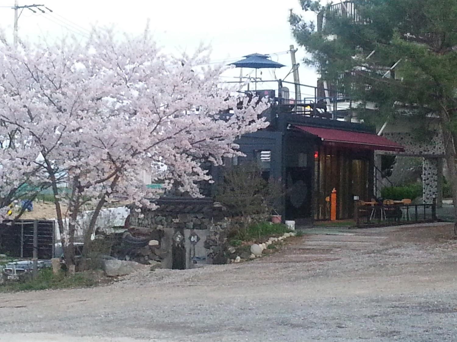 Cover Image for 작은행복펜션