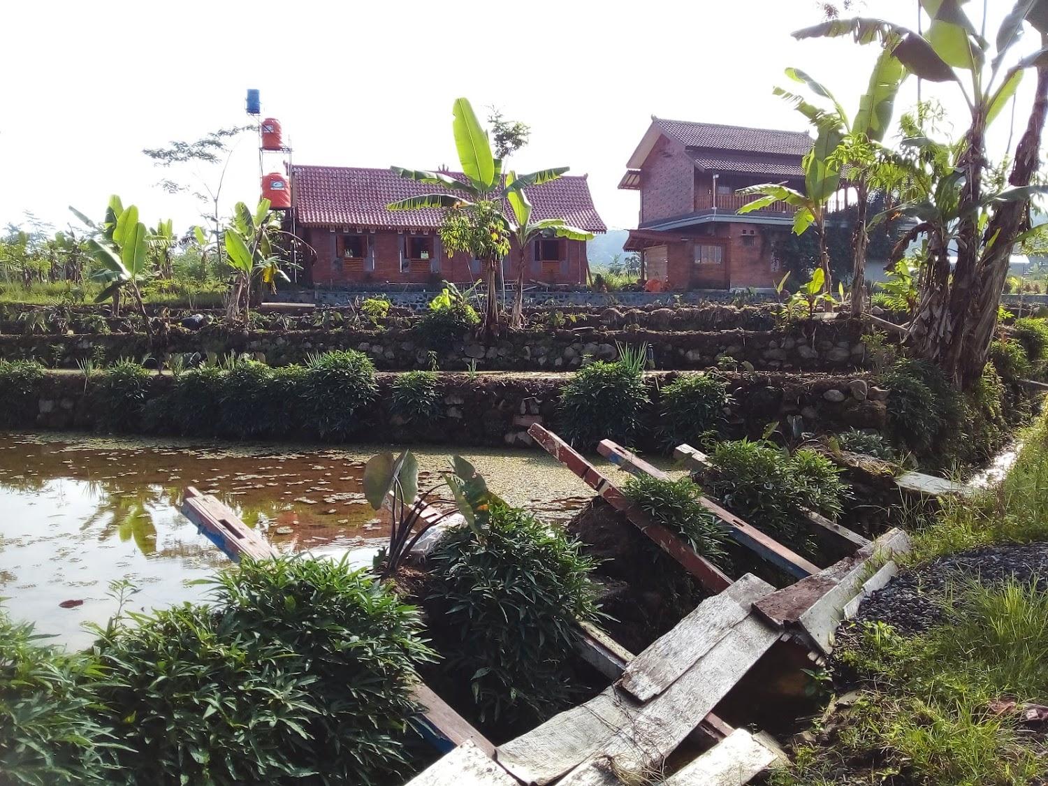 Cover Image for Jawa Dwipa Villa