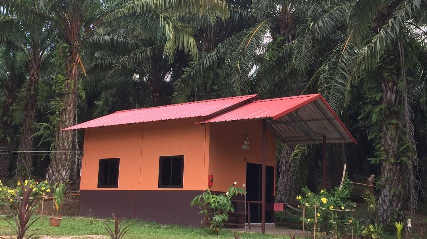 Cover Image for Khao Sok Evergreen House