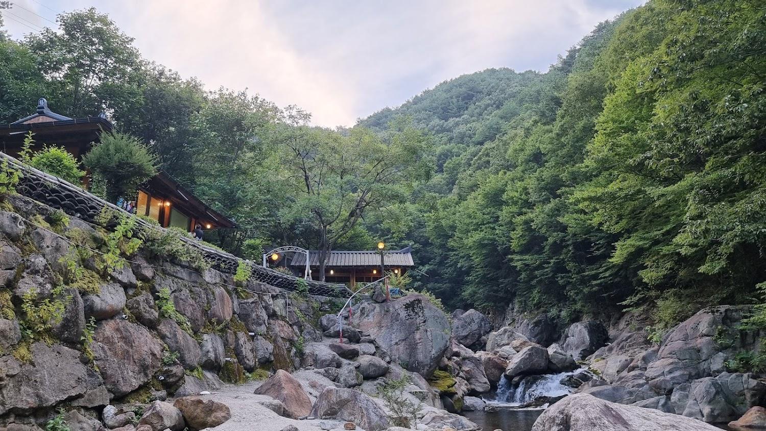 Cover Image for 들꽃산방펜션