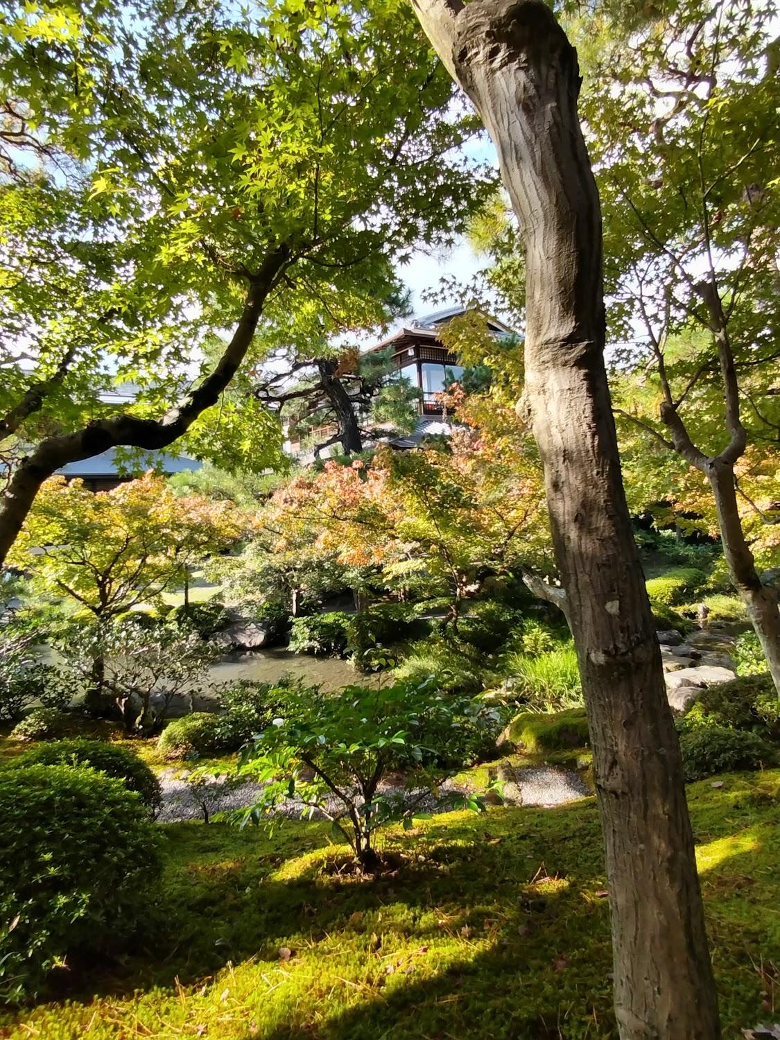 Cover Image for Kyoto Shirakawain
