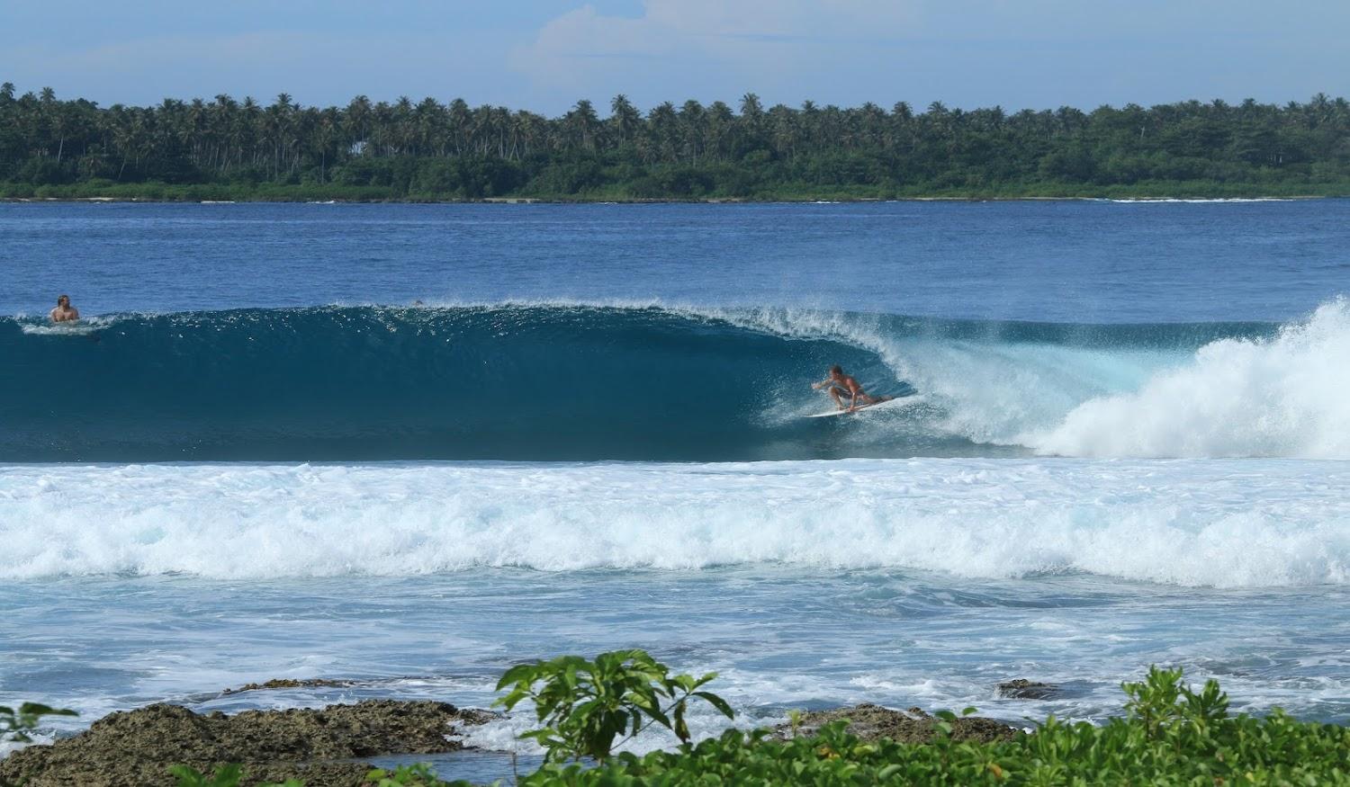 Cover Image for Moon Beach Surf Resort
