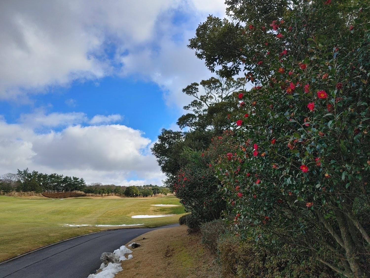 Cover Image for Everis Golf Resort