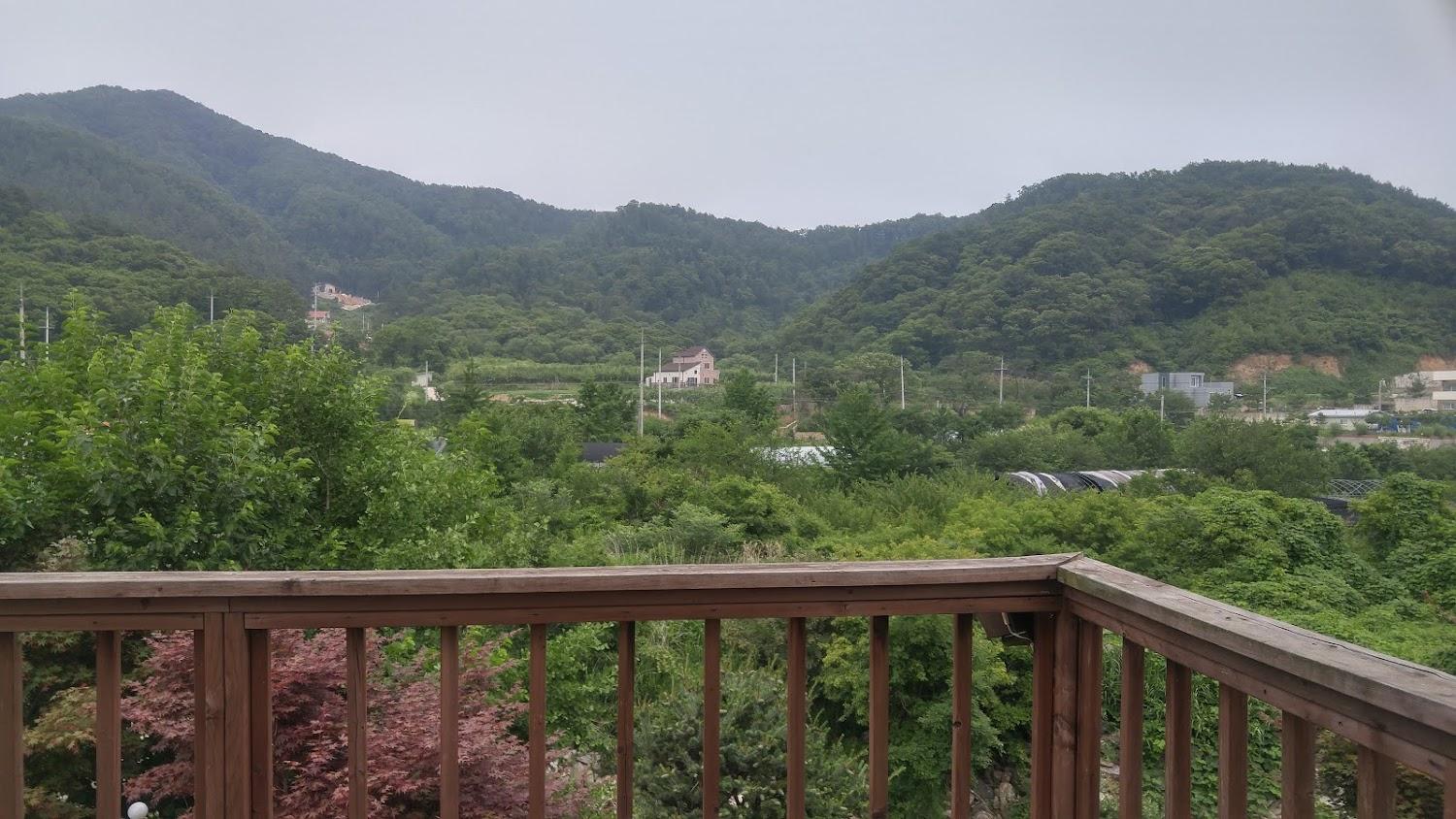Cover Image for 약속펜션