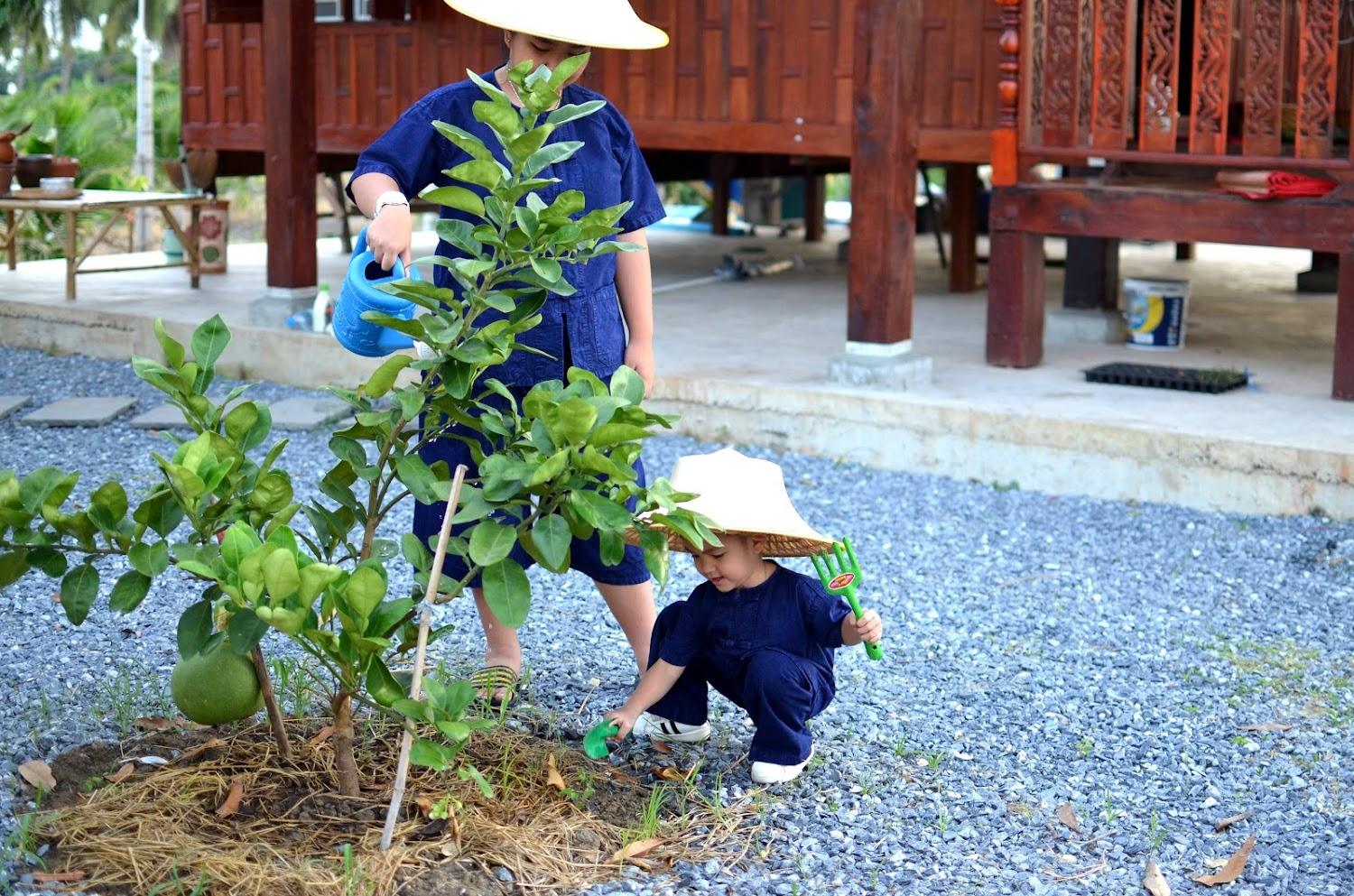 Cover Image for Sub Nai Din Farm