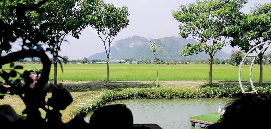 Cover Image for Whitehouse resort Kanchanaburi