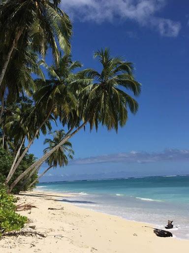 Cover Image for Arthur Homestay Telescope Mentawai