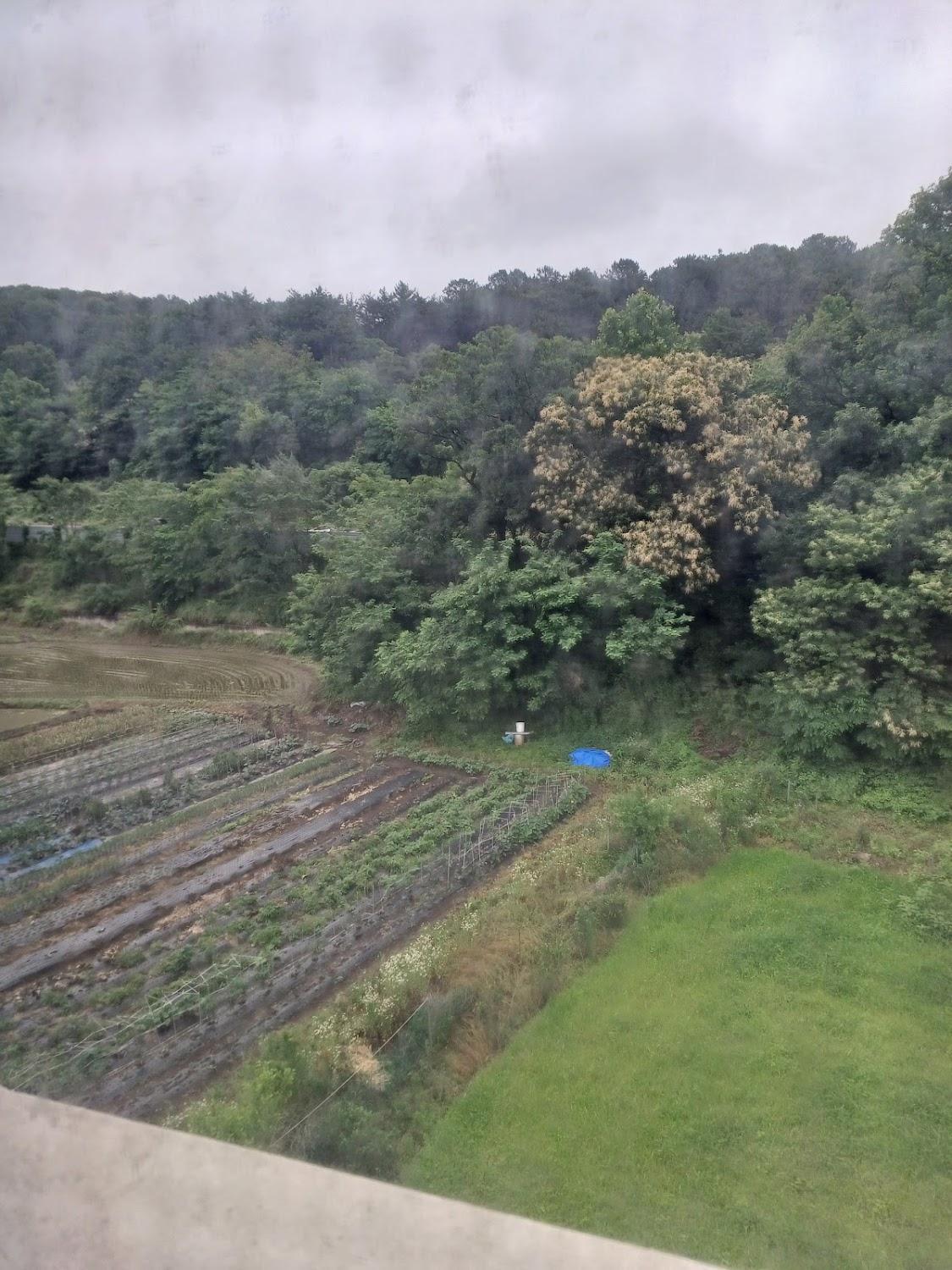 Cover Image for 도안키즈호텔 양산