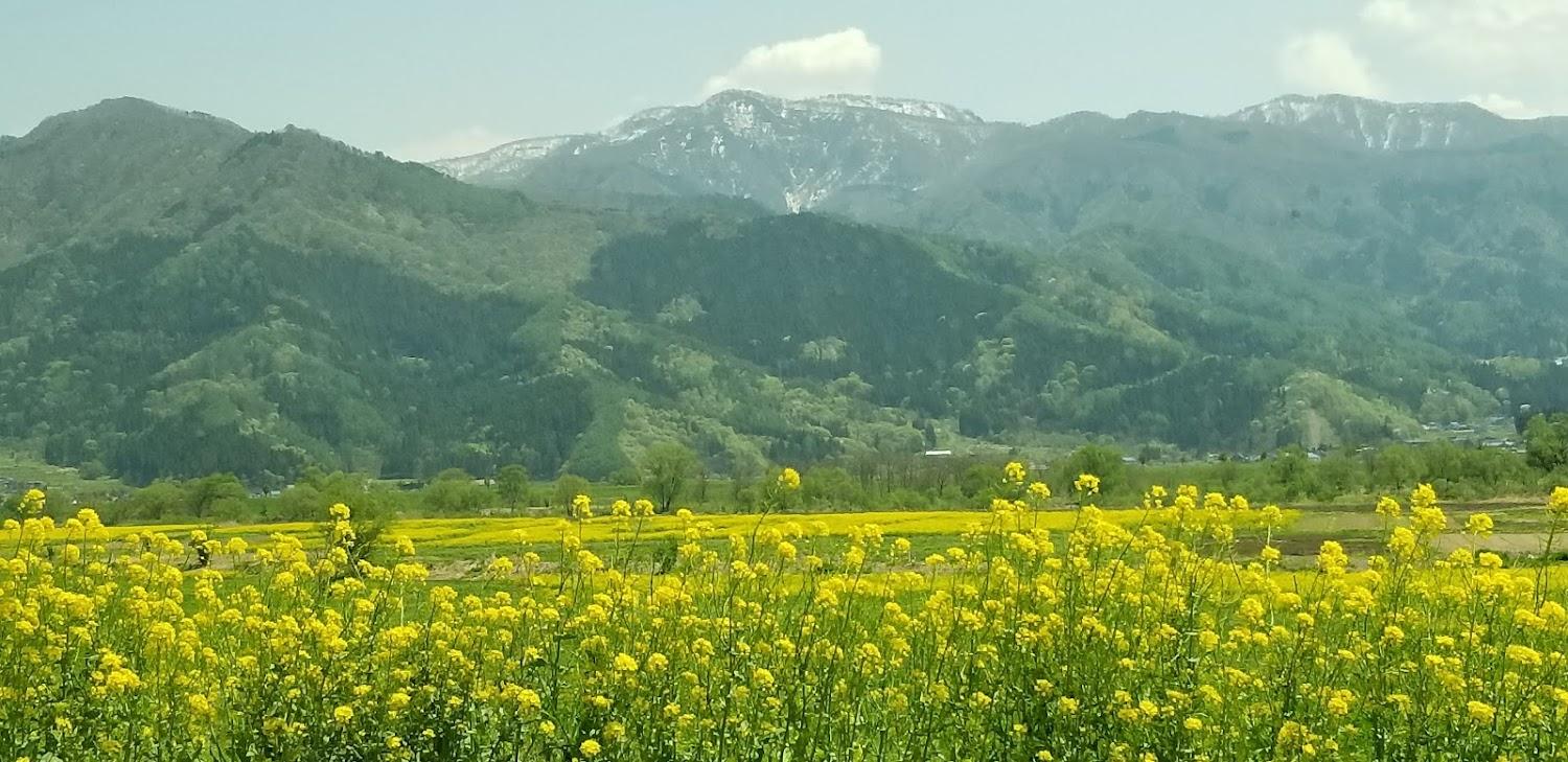 Cover Image for くつの館