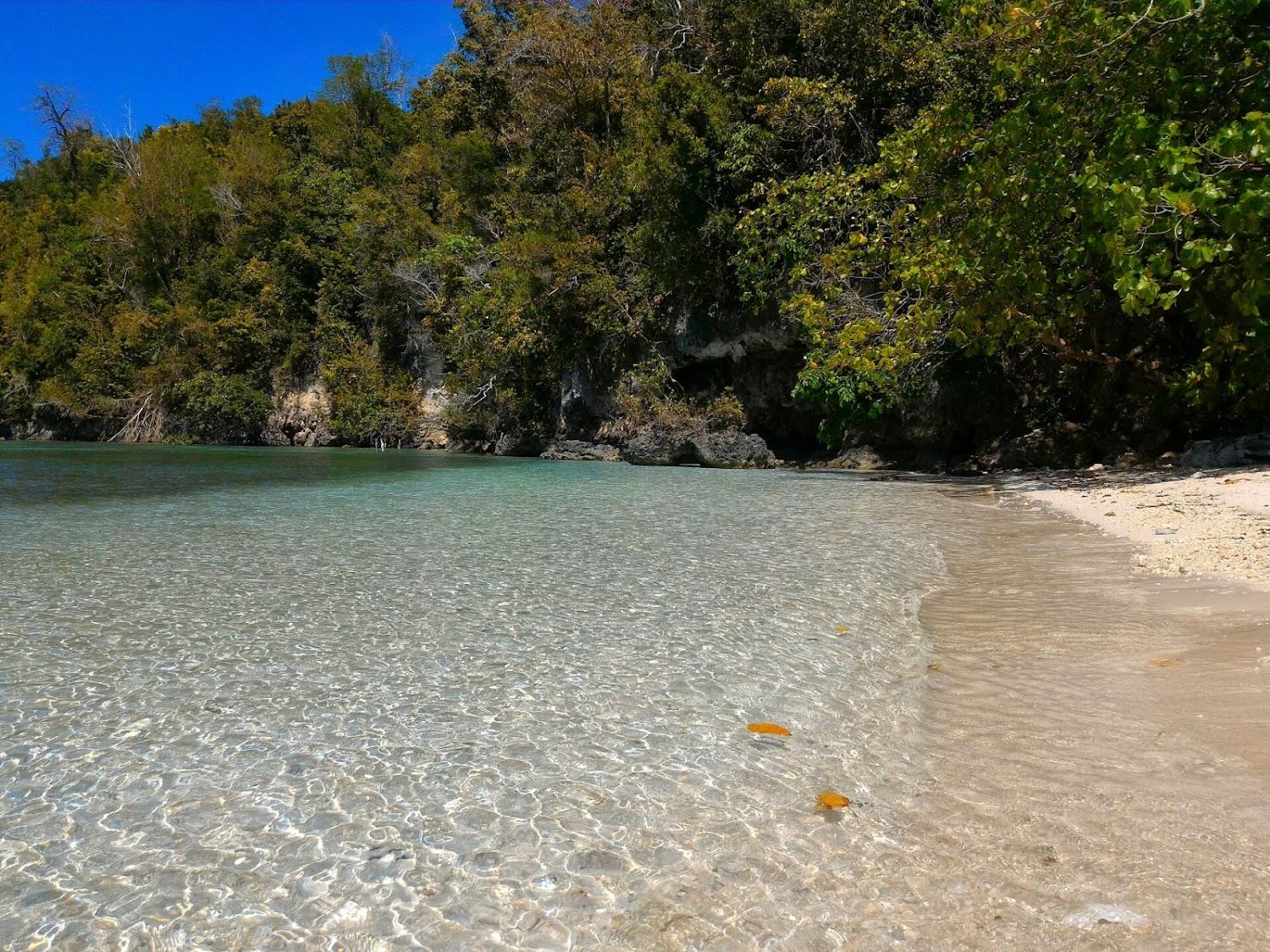 Cover Image for Ale Beach Angkayo