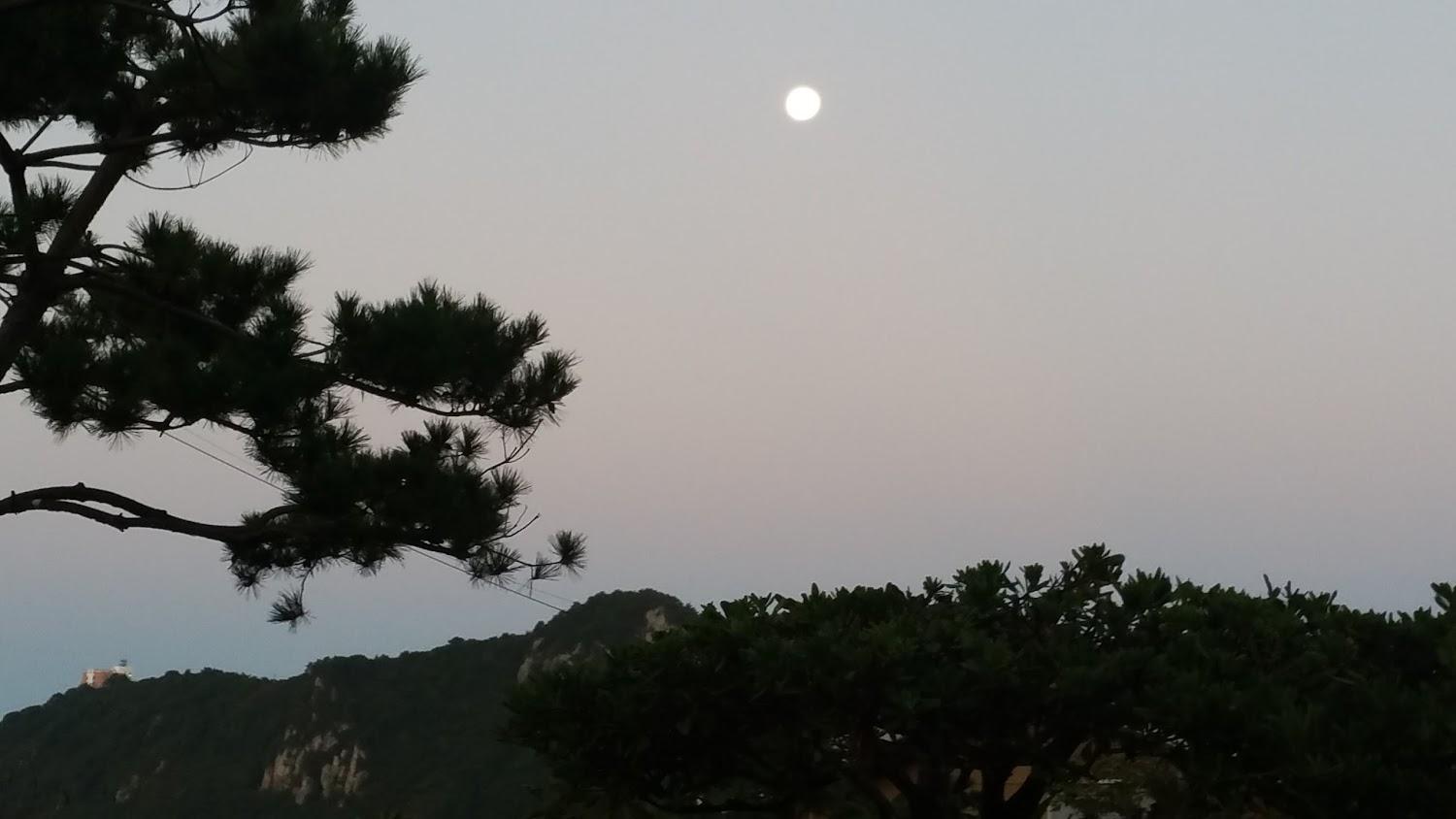 Cover Image for 하늘정원펜션