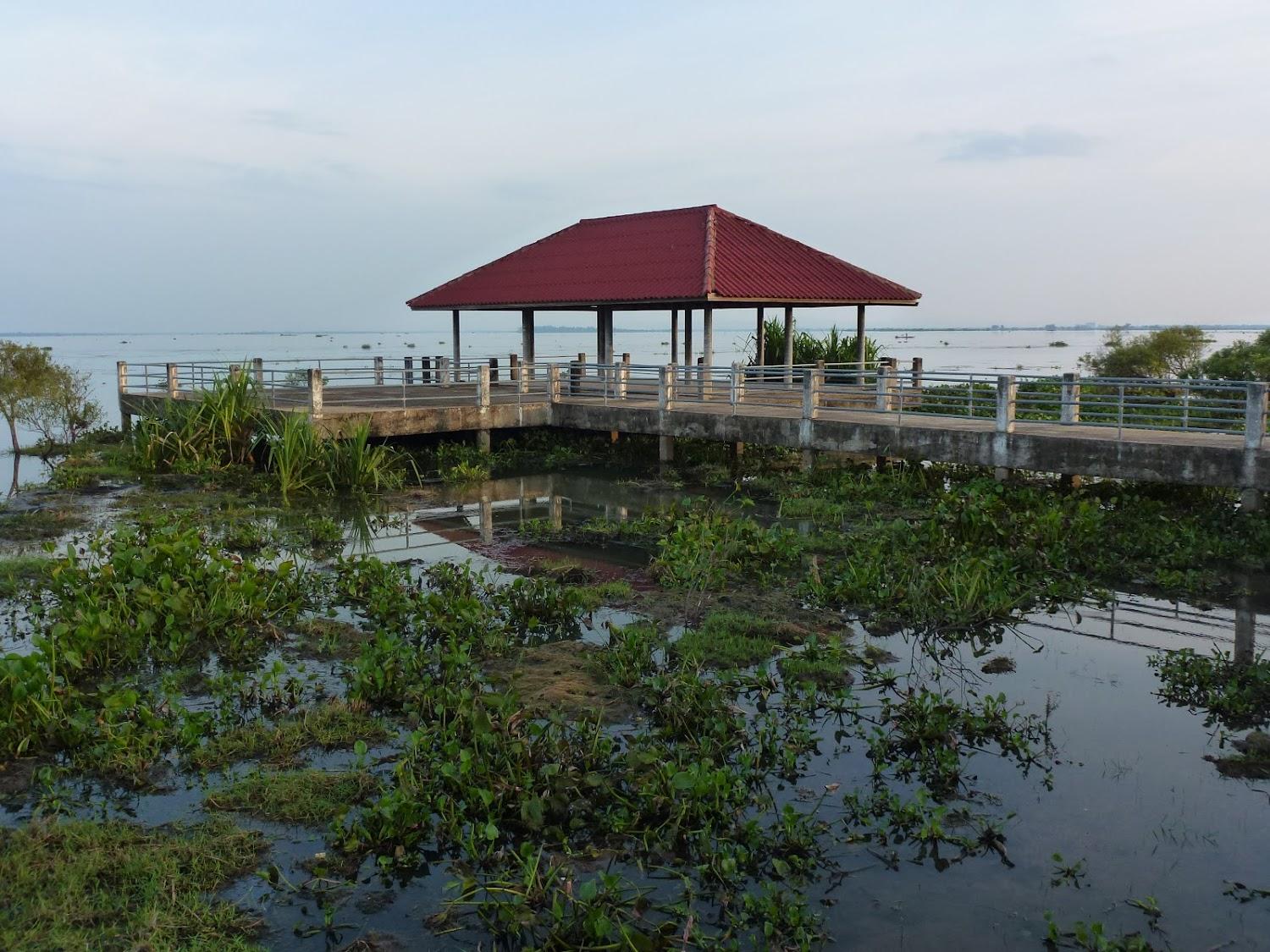 Cover Image for The Nature Resort