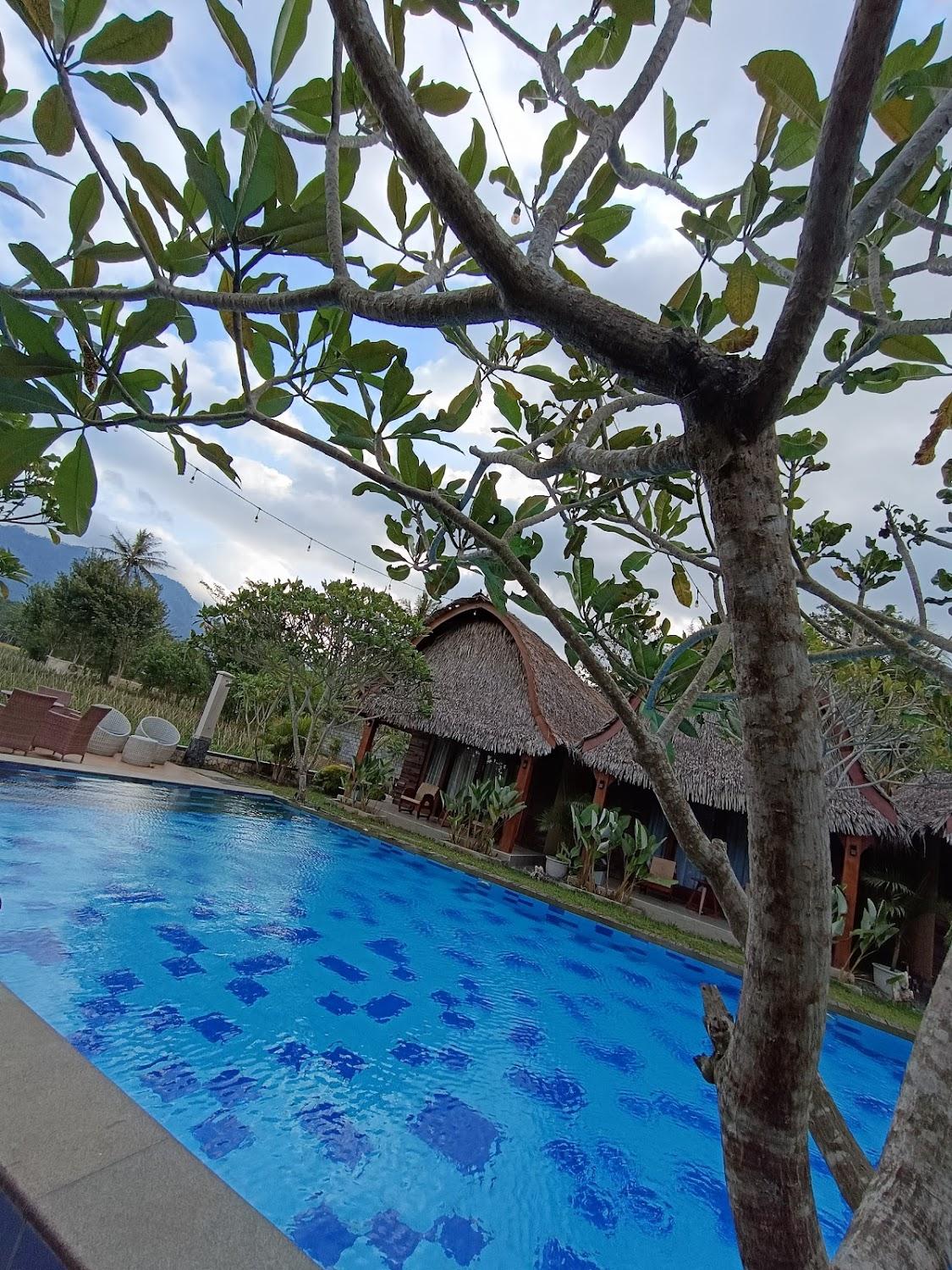 Cover Image for Shanaya Hotel
