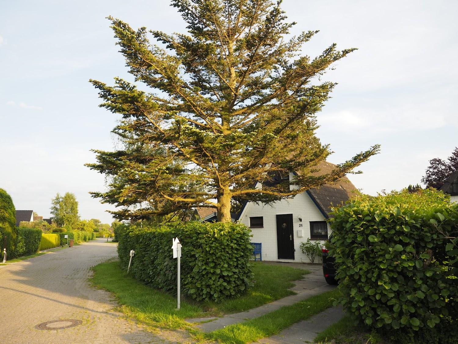 Cover Image for Ferienhäuser Heußner