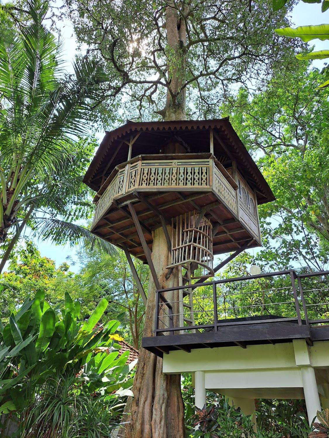 Cover Image for Green Tree House Villa Ubud