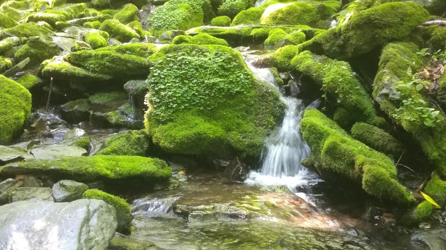 Cover Image for 산모랭이 펜션