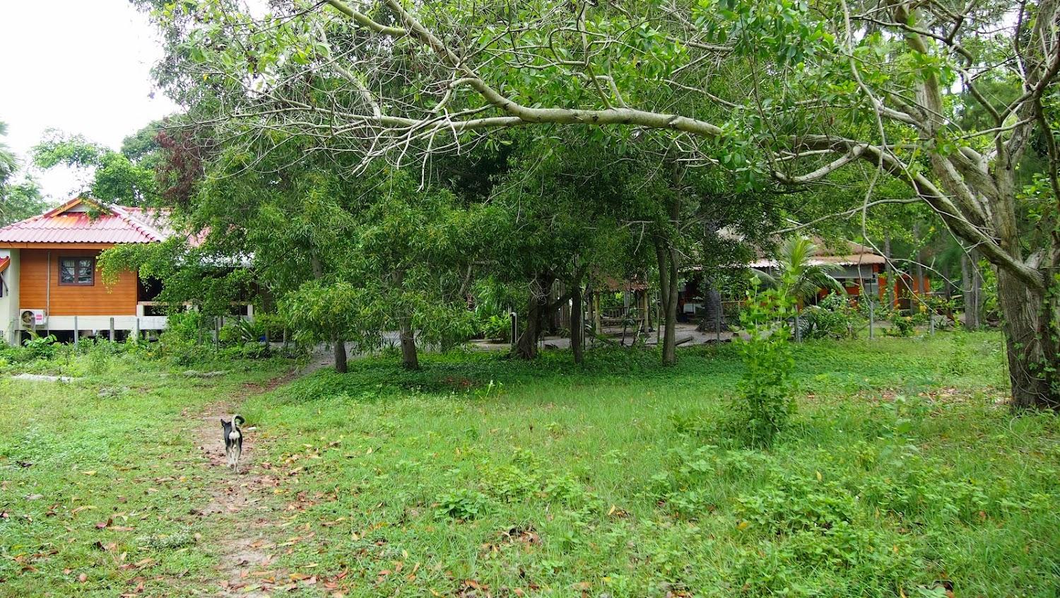 Cover Image for Bansonmanee Homestay, Nadan Beach, Khanom