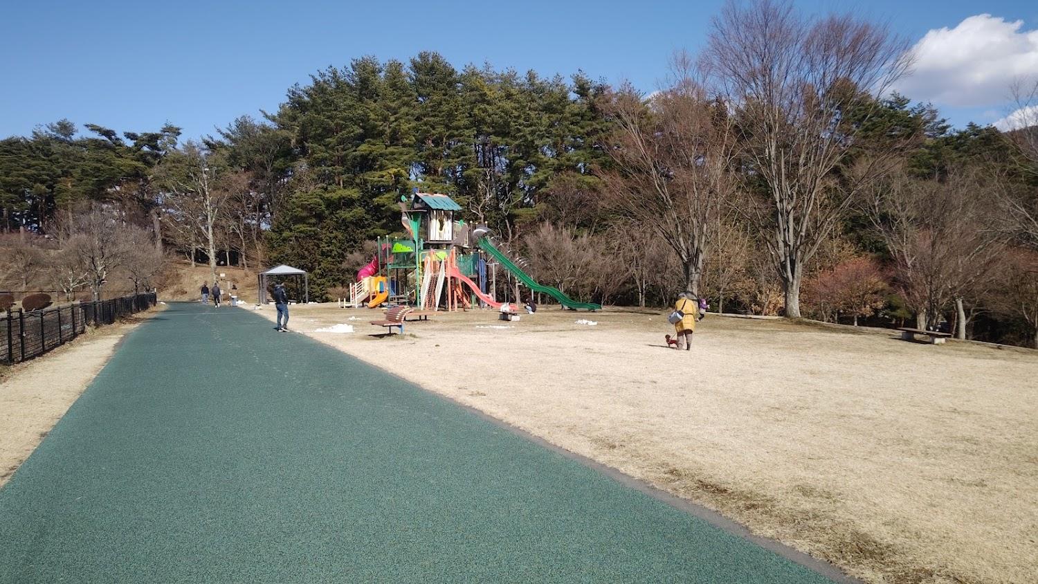 Cover Image for Tatsuno Park Hotel