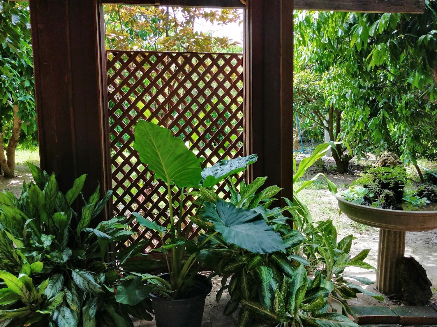 Cover Image for บ้านทองหลางโฮมสเตย์ (BaanThongLang Homestay)