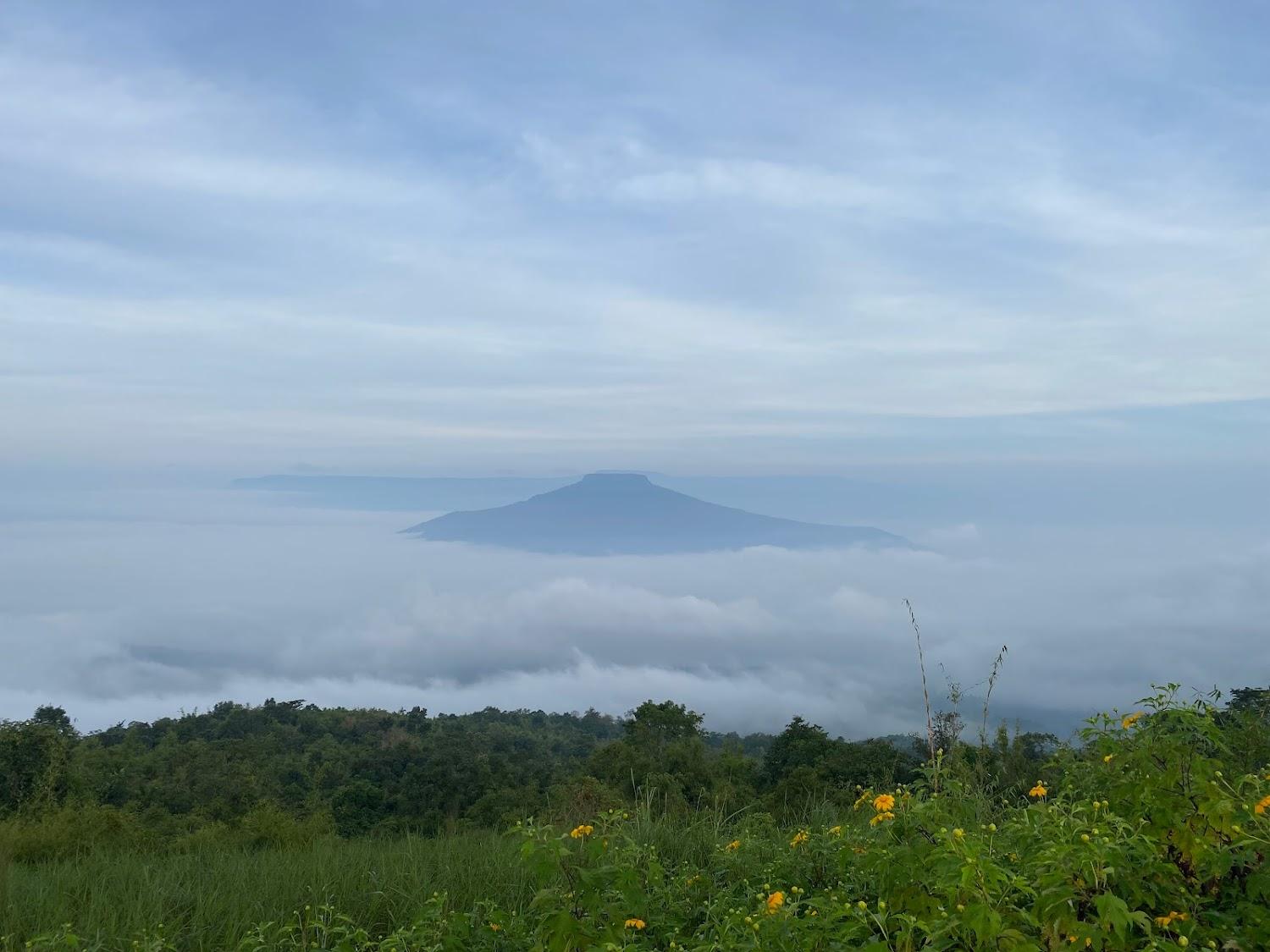 Cover Image for เทืองทิพย์ รีสอร์ท ภูป่าเปาะ