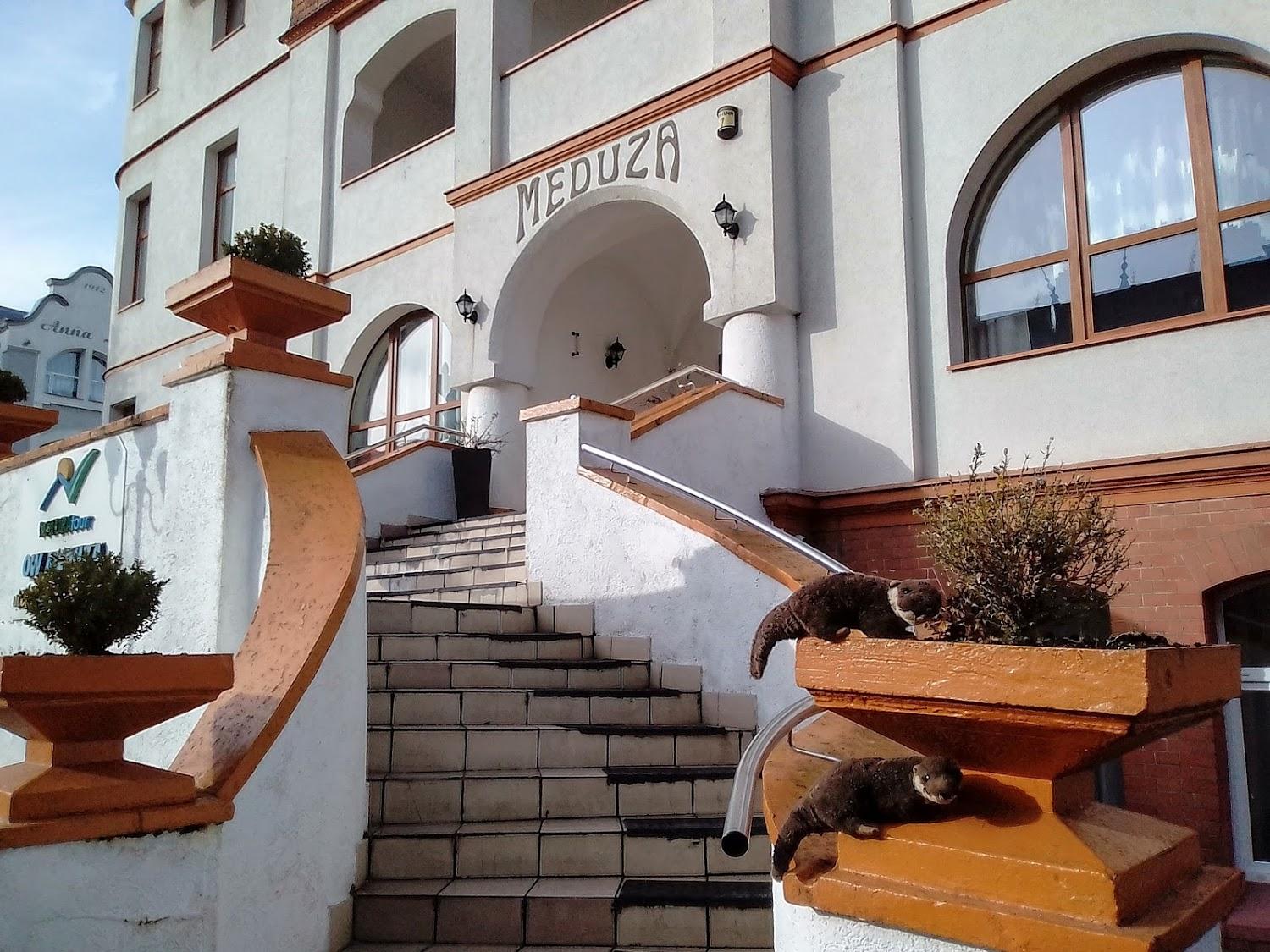 Cover Image for Meduza