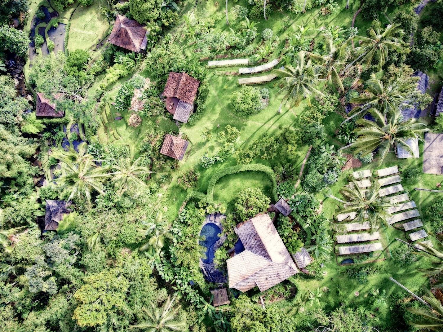 Cover Image for Bali Eco Stay