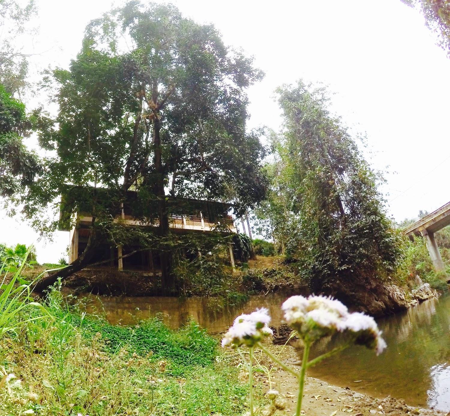 Cover Image for Ban Cafe Nature Resort