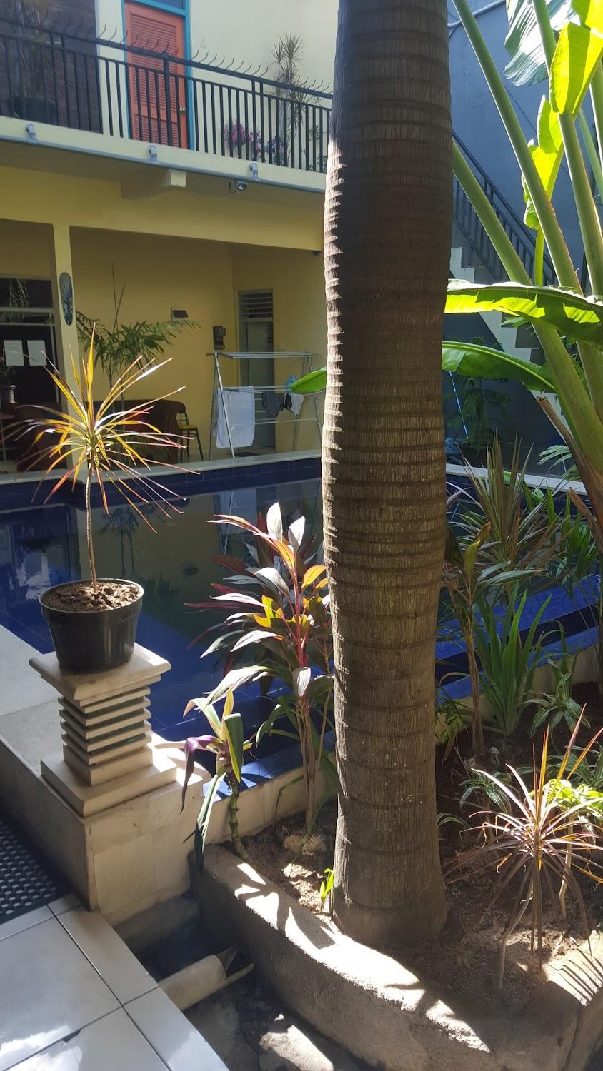Cover Image for BIG Pineapple Backpackers Bali