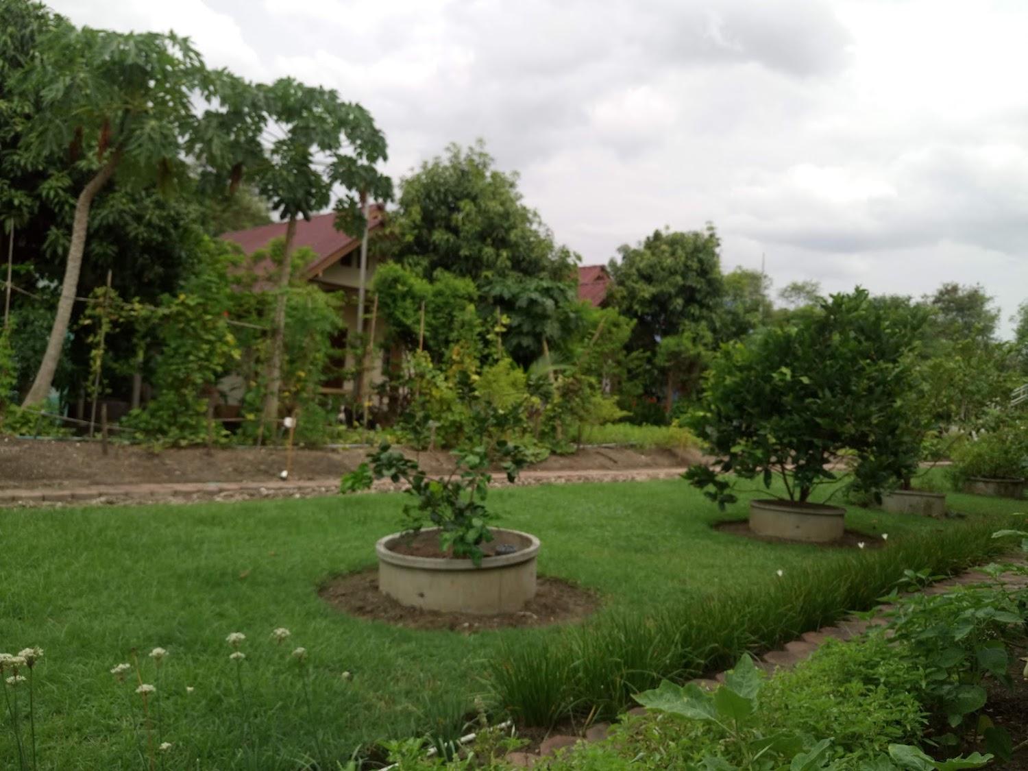 Cover Image for Bansai Resort
