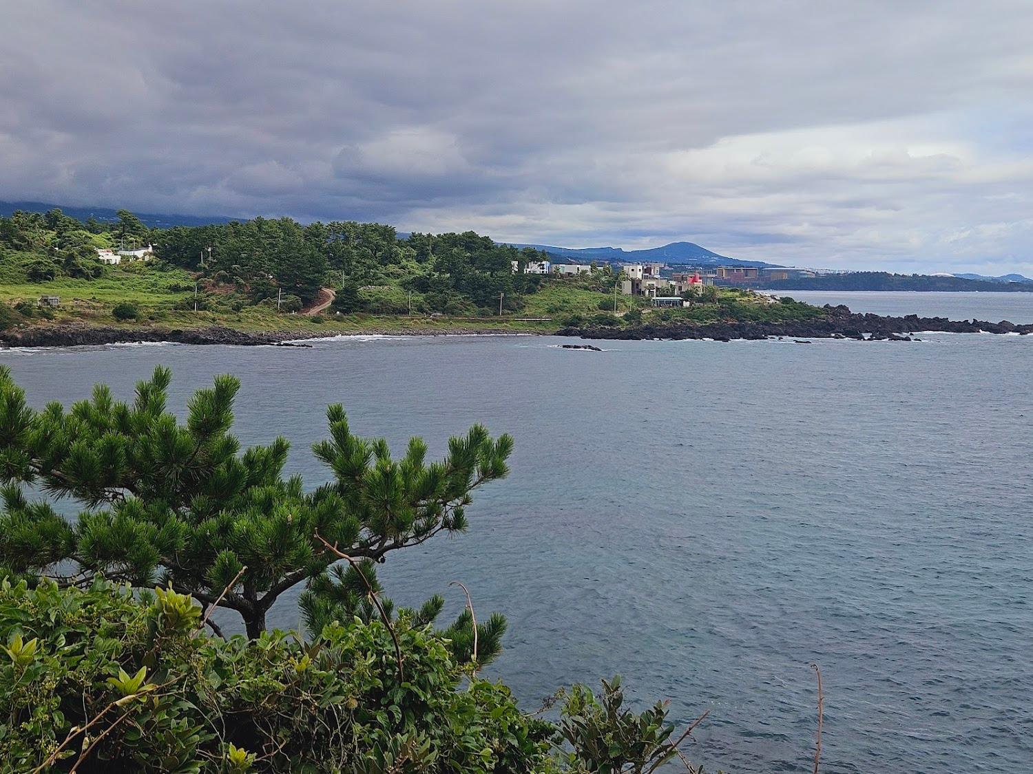 Cover Image for Ocean View Guesthouse Jeju