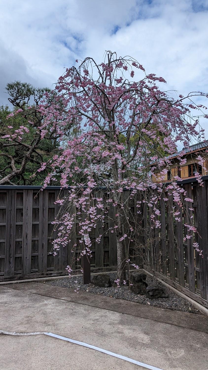 Cover Image for 粟田口 三条坊山荘