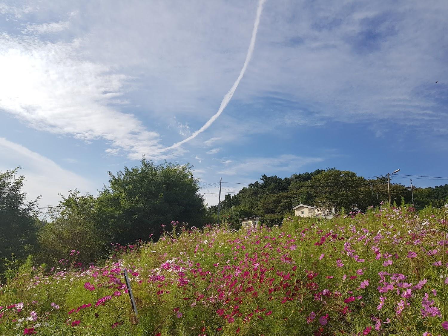 Cover Image for 르네상스모텔