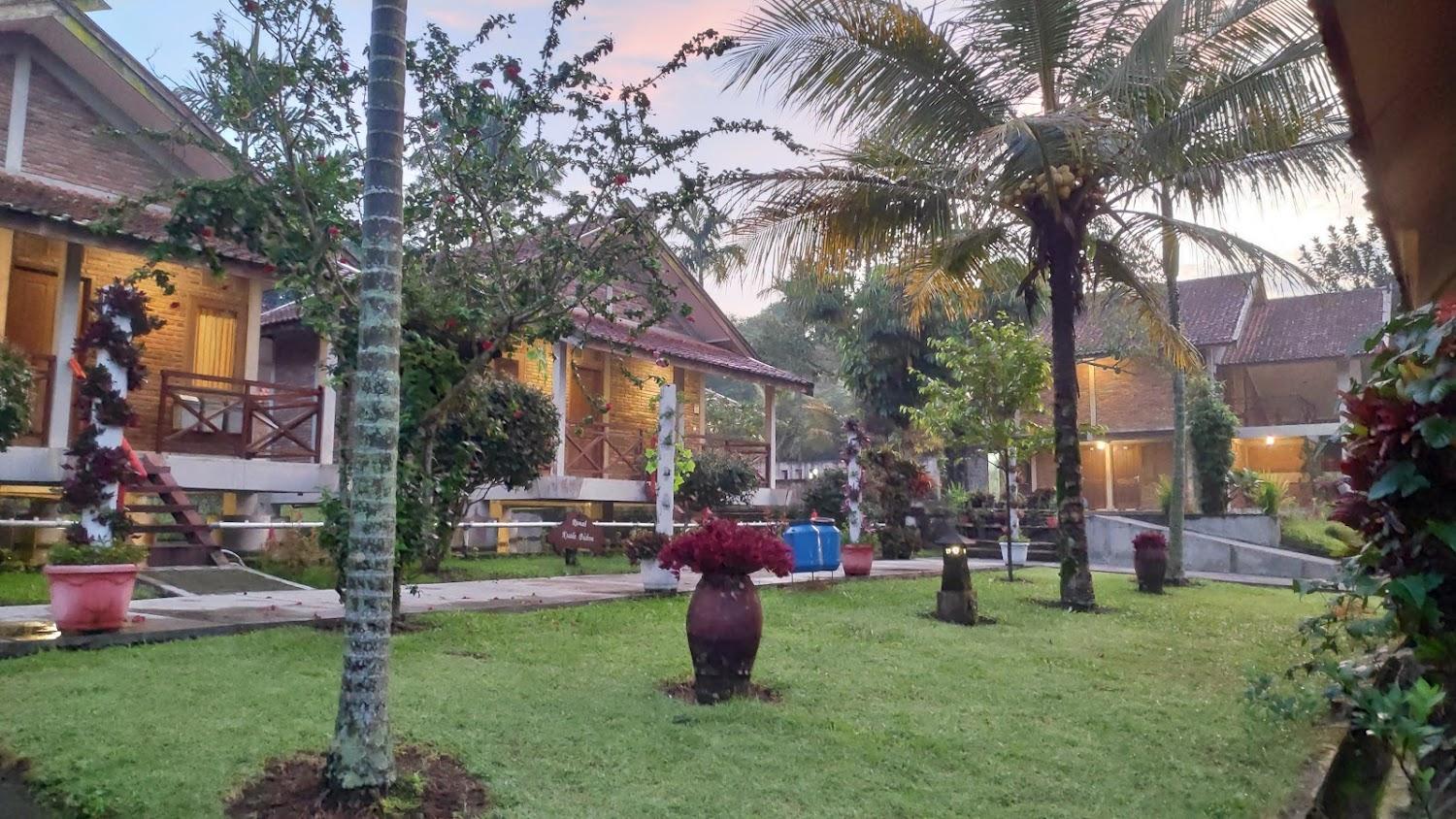 Cover Image for disaster oasis hotel