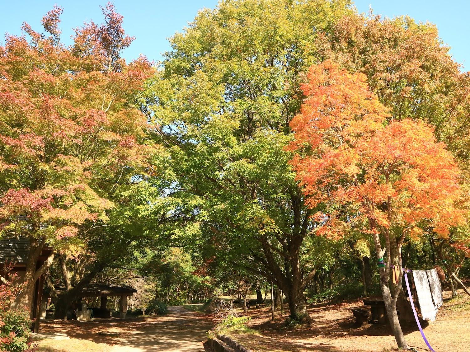 Cover Image for Hijiriko Camping Ground