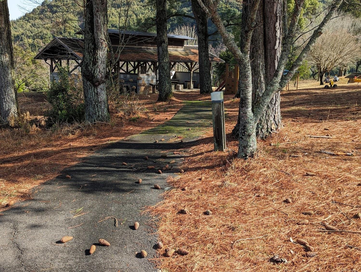 Cover Image for Biha Park Camping Ground
